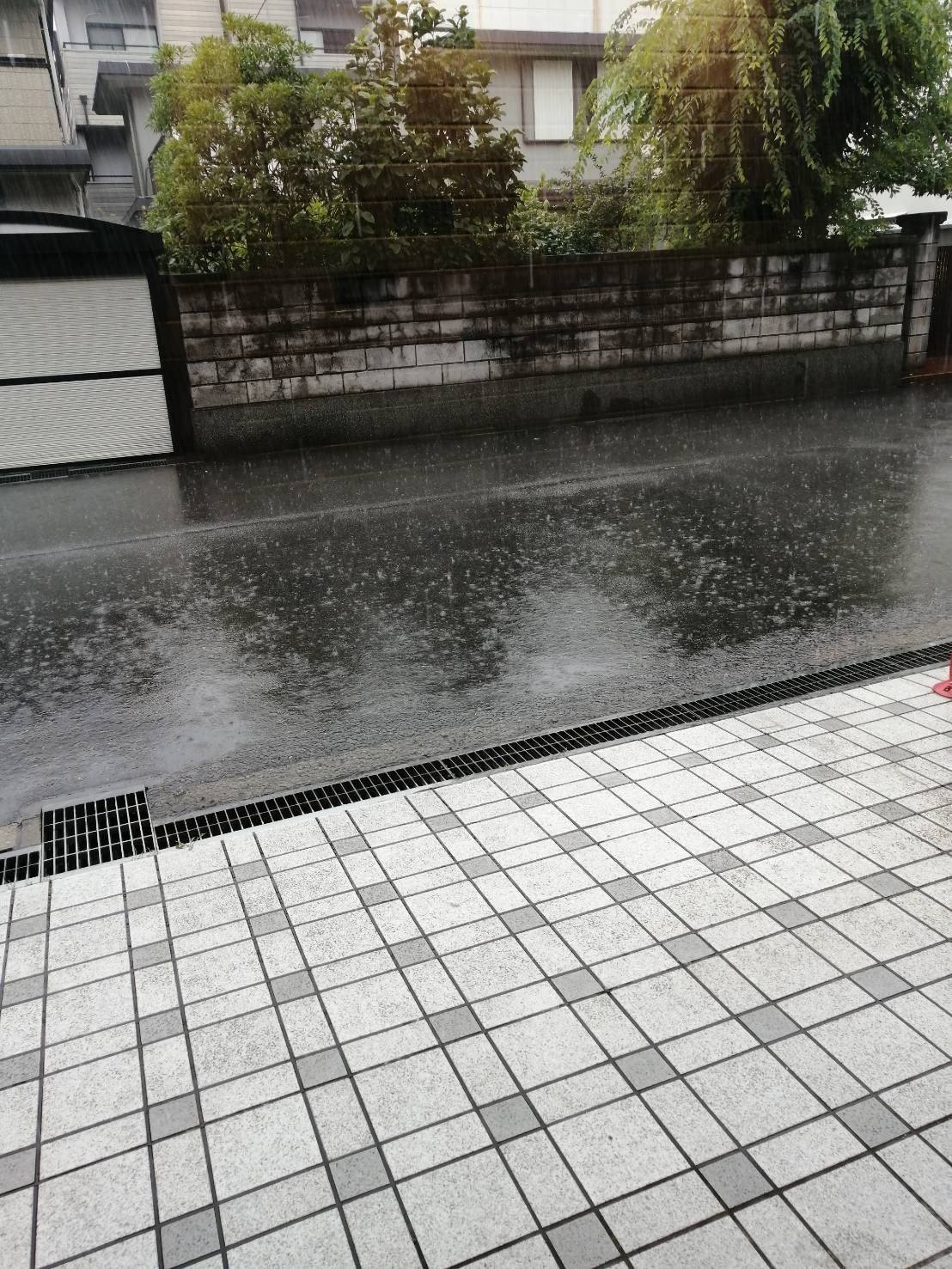 雨が続きますね…