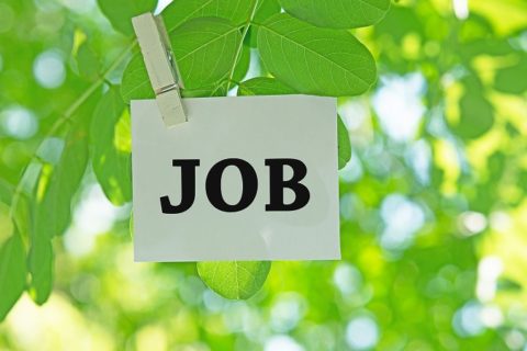 株式会社TAKEDAGUMIで型枠大工として働きませんか？
