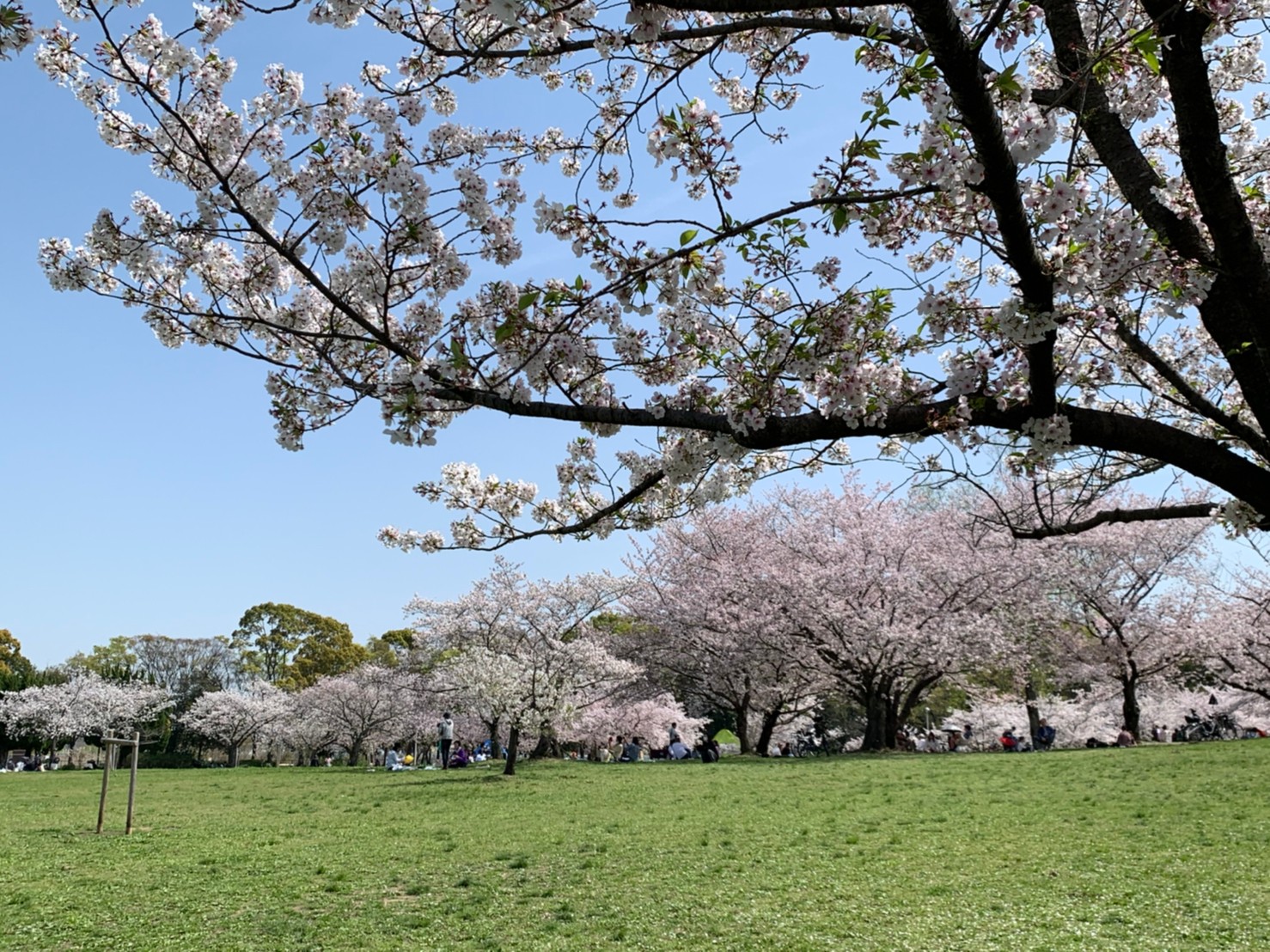 休日の出来事